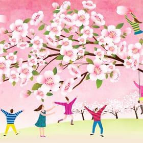 Korea Meteorological Administration Launches 2024 Spring Cherry Blossom Blooming Status Service